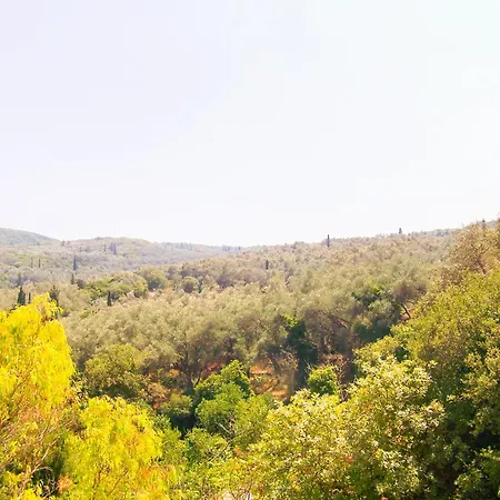 بيت للعطل The Olive Tree House
