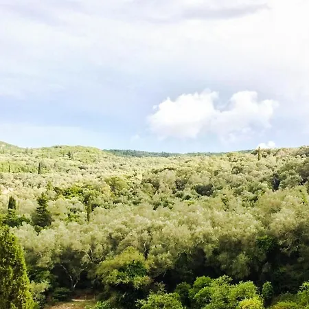 The Olive Tree House Liapades